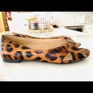 Mix No. 6 Cheetah Flats Size 7
